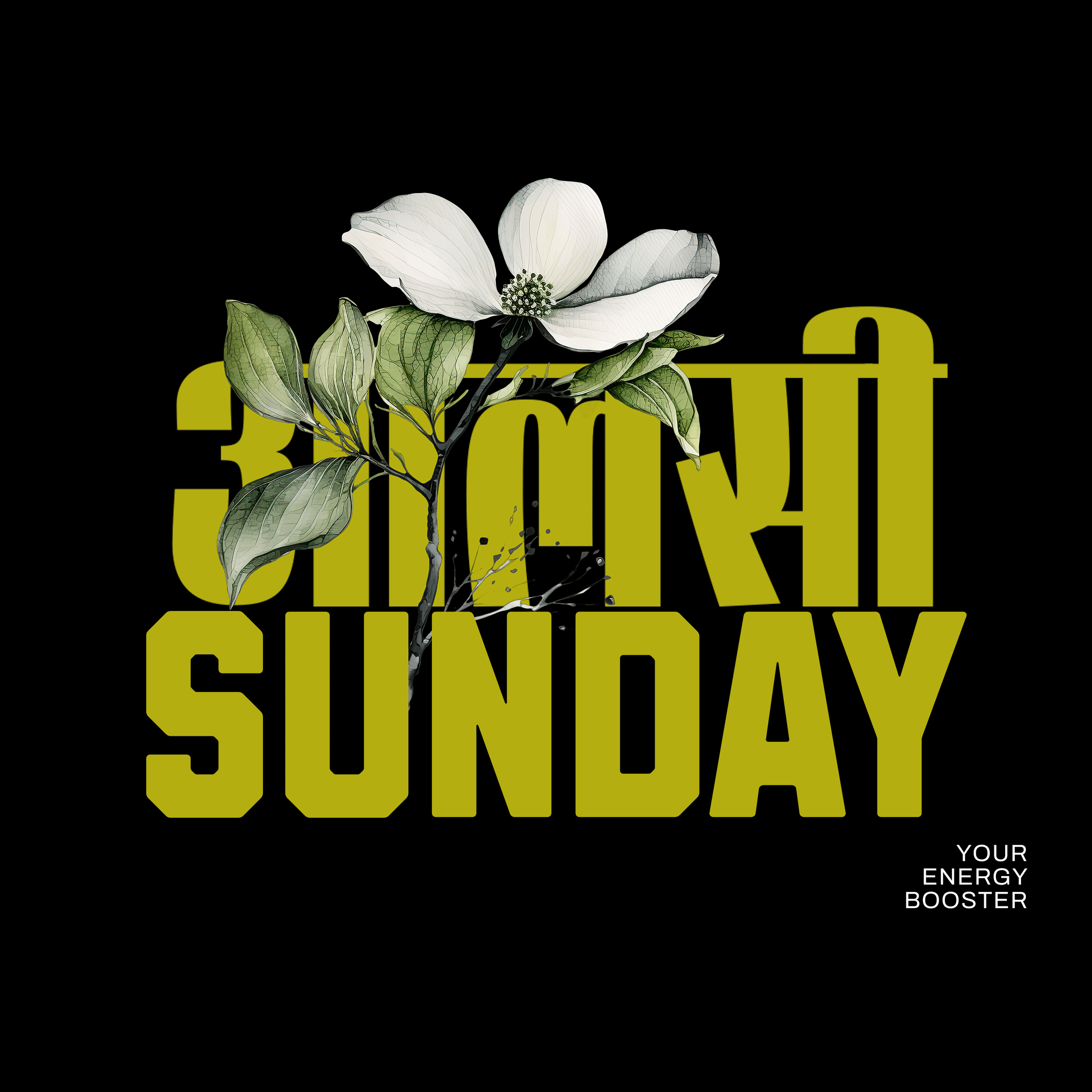 Aalsi Sunday (Oversized Fit)